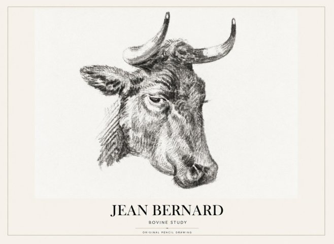 Jean Bernard Bovine Study I No1 - Juliste