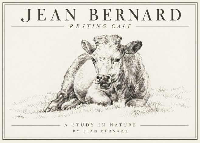 Jean Bernard Resting Calf I No1 - Juliste