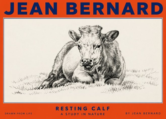 Jean Bernard Resting Calf I No2 - Juliste
