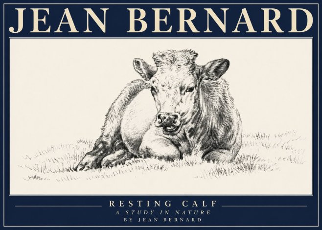 Jean Bernard Resting Calf I No4 - Juliste