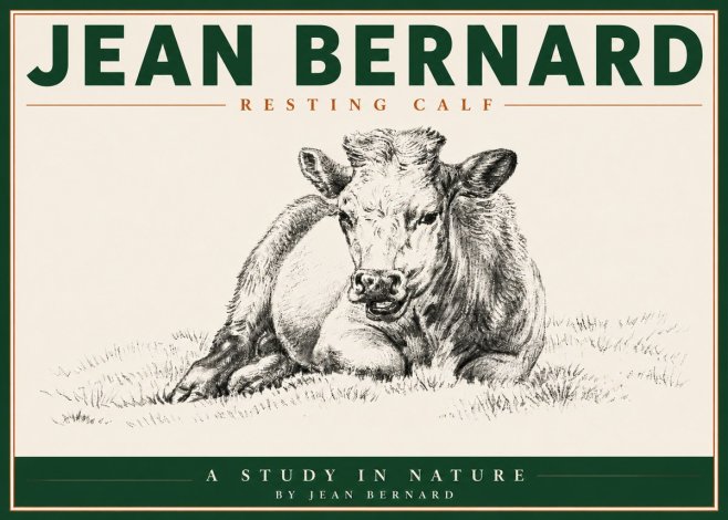 Jean Bernard Resting Calf I No5 - Juliste