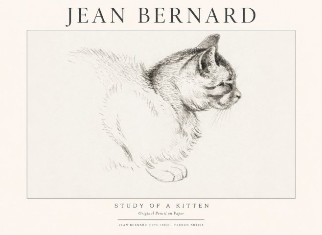 Jean Bernard Study of a Kitten II No1 - Juliste