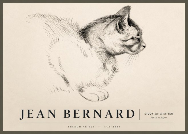 Jean Bernard Study of a Kitten II No2 - Juliste