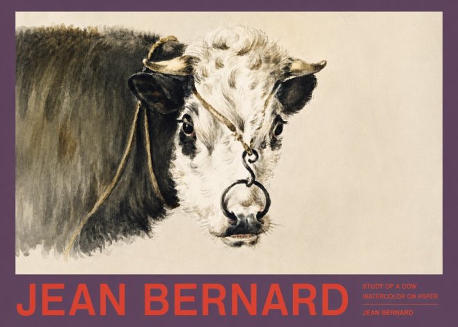 Jean Bernard Study of a Cow I No2 - Juliste