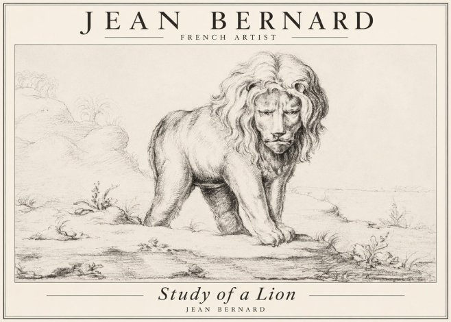 Jean Bernard Study of a Lion I No3 - Juliste