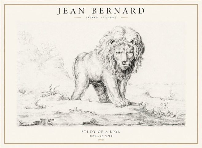 Jean Bernard Study of a Lion I No4 - Juliste