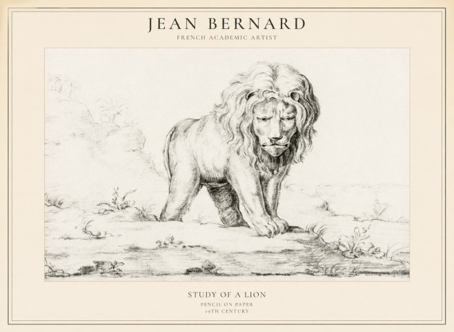 Jean Bernard Study of a Lion I No5 - Juliste