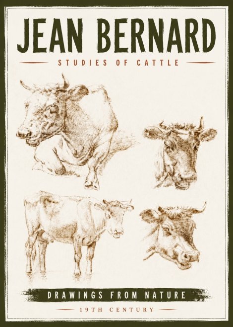 Jean Bernard Studies of Cattle II No6 - Juliste