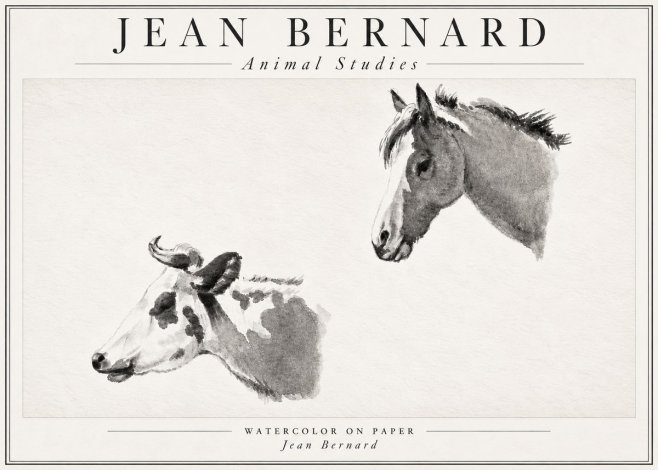 Jean Bernard Animal Studies No4 - Juliste