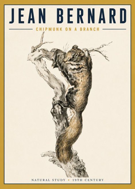 Jean Bernard Study of a Squirrel Climbing a Branch No5 - Juliste