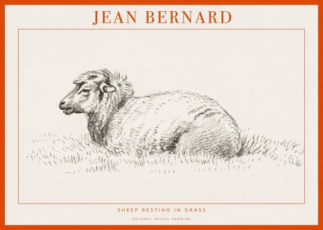 Jean Bernard Sheep Resting in Grass No1 - Juliste