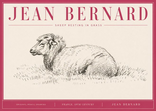 Jean Bernard Sheep Resting in Grass No4 - Juliste