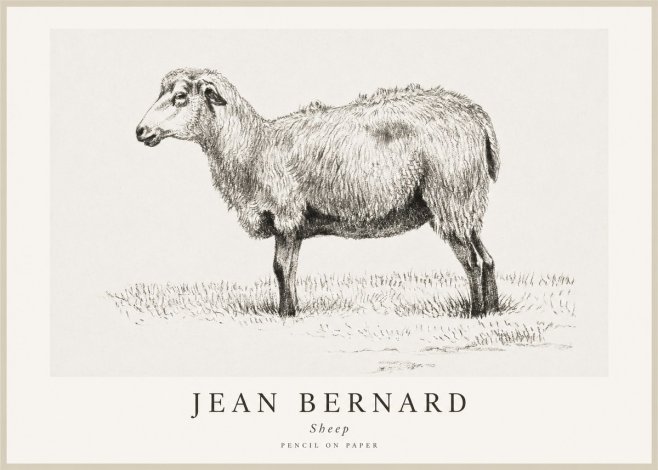 Jean Bernard Sheep No1 - Juliste