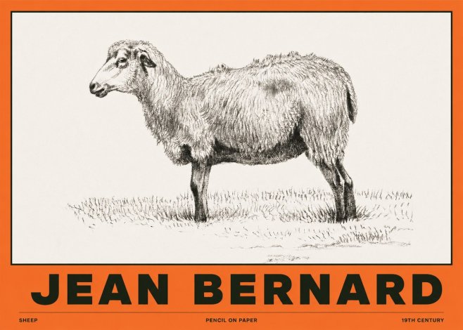 Jean Bernard Sheep No2 - Juliste