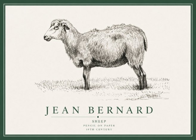 Jean Bernard Sheep No3 - Juliste