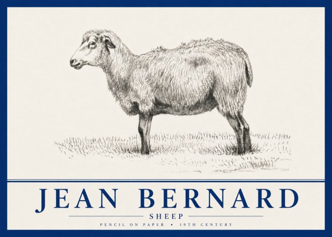 Jean Bernard Sheep No4 - Juliste
