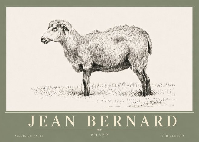 Jean Bernard Sheep No6 - Juliste