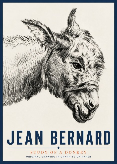 Jean Bernard Study of a Donkey I No5 - Juliste