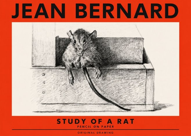 Jean Bernard Study of a Rat I No2 - Juliste