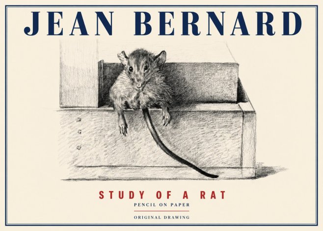 Jean Bernard Study of a Rat I No4 - Juliste