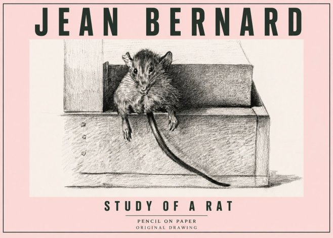 Jean Bernard Study of a Rat I No5 - Juliste