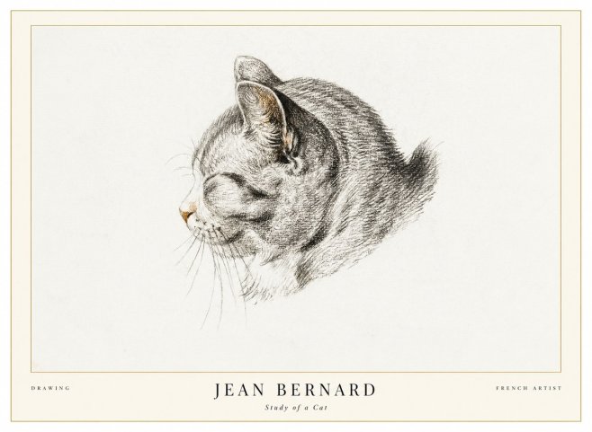 Jean Bernard Study of a Cat I No1 - Juliste