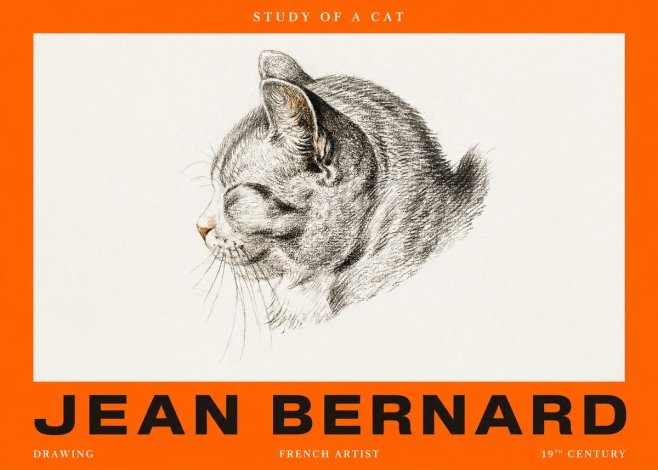 Jean Bernard Study of a Cat I No2 - Juliste