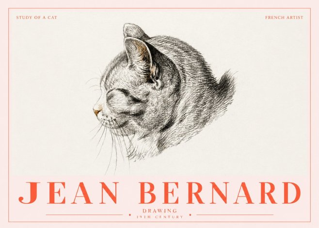 Jean Bernard Study of a Cat I No5 - Juliste