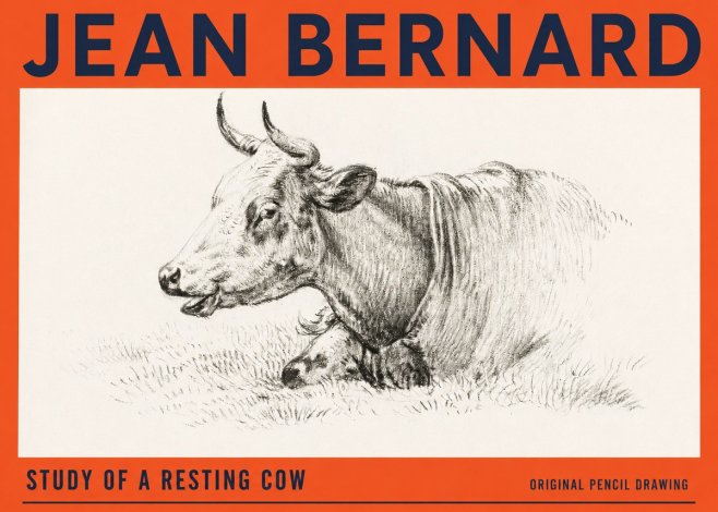 Jean Bernard Study of a Resting Cow IV No3 - Juliste