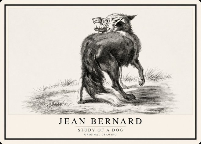 Jean Bernard Study of a Dog II No1 - Juliste