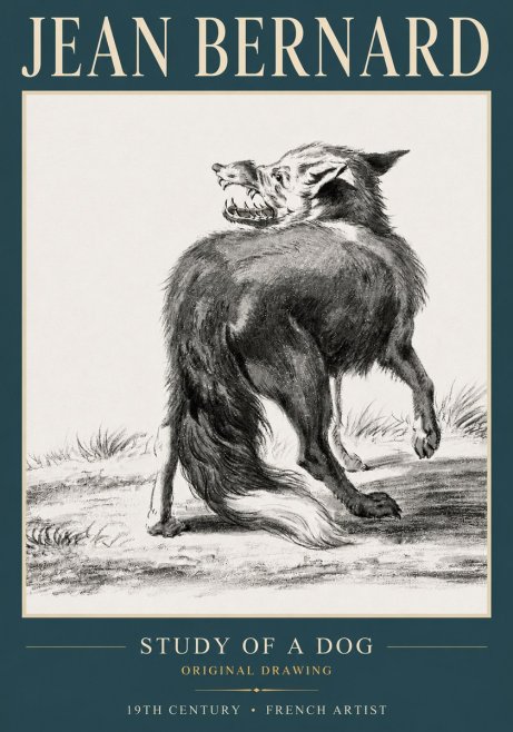 Jean Bernard Study of a Dog II No3 - Juliste