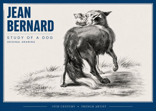 Jean Bernard Study of a Dog II No4 - Juliste