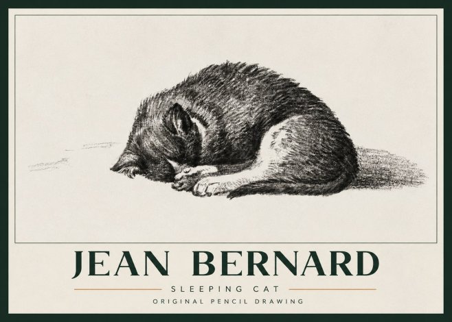 Jean Bernard Sleeping Cat III No3 - Juliste