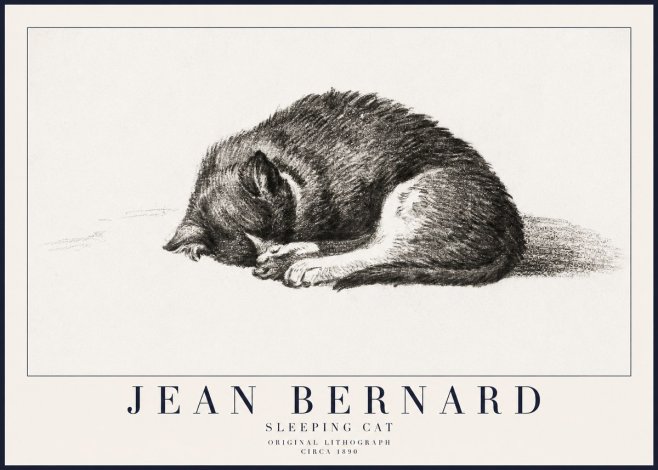 Jean Bernard Sleeping Cat III No6 - Juliste
