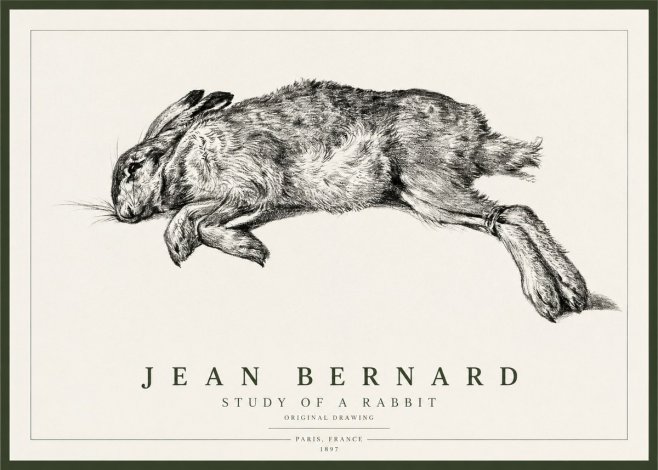 Jean Bernard Study of a Rabbit No1 - Juliste