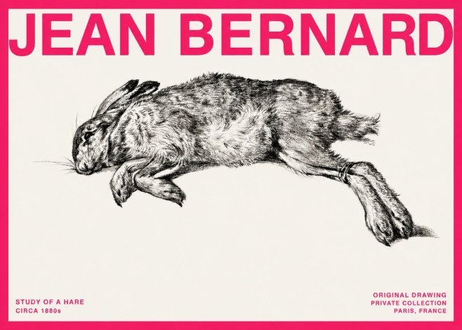 Jean Bernard Study of a Rabbit No4 - Juliste