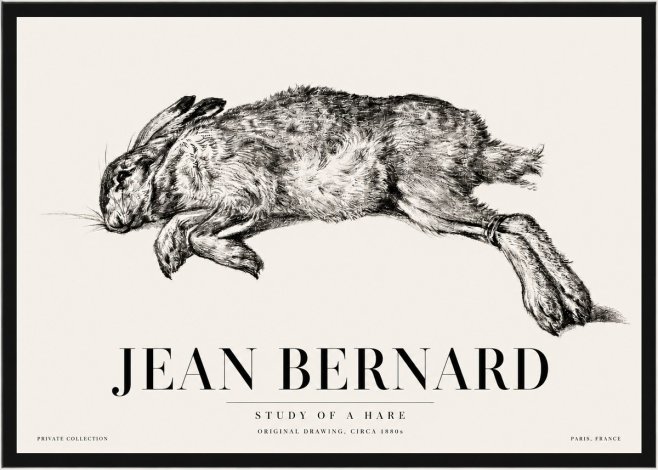 Jean Bernard Study of a Rabbit No5 - Juliste