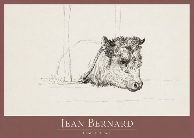 Jean Bernard Study of a Calf I No2 - Juliste