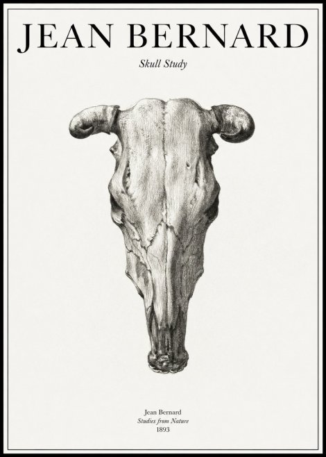 Jean Bernard Skull Study No1 - Juliste