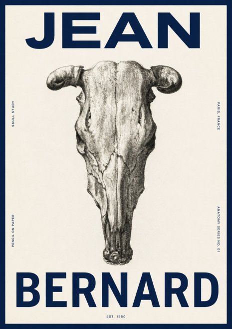 Jean Bernard Skull Study No4 - Juliste