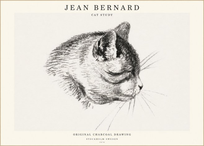 Jean Bernard Cat Study IV No1 - Juliste