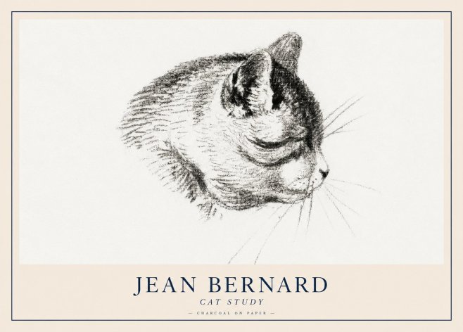 Jean Bernard Cat Study IV No2 - Juliste