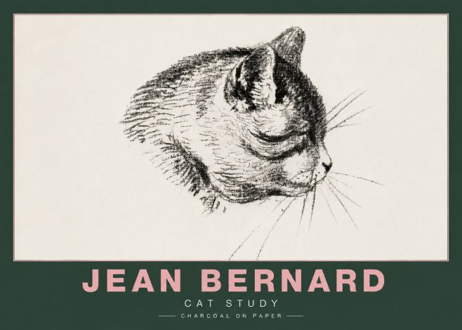 Jean Bernard Cat Study IV No4 - Juliste