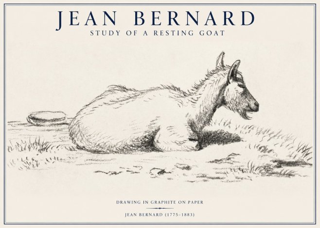 Jean Bernard Study of a Resting Goat No1 - Juliste