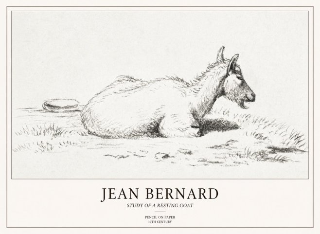 Jean Bernard Study of a Resting Goat No2 - Juliste