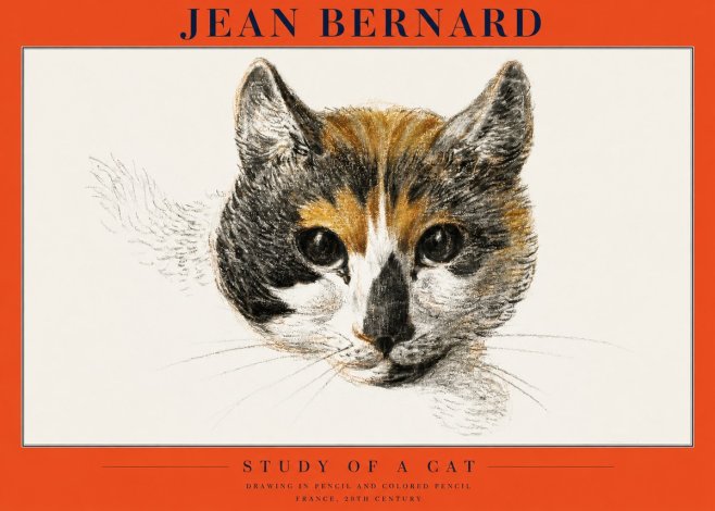 Jean Bernard Study of a Cat II No2 - Juliste