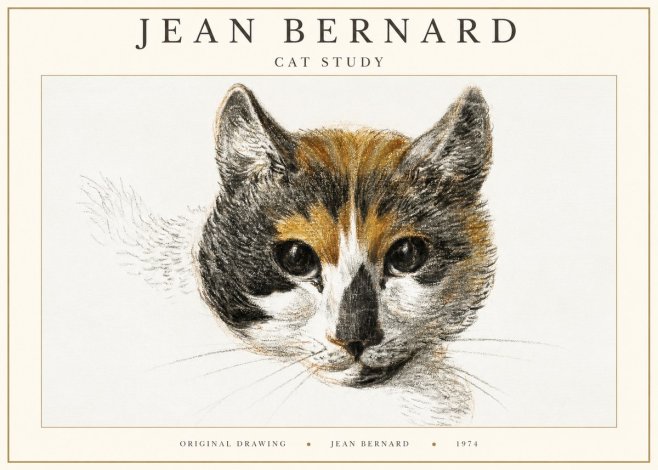 Jean Bernard Study of a Cat II No3 - Juliste