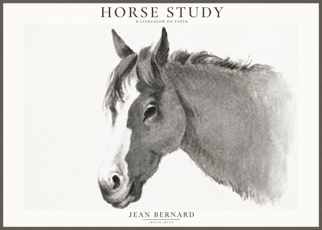Jean Bernard Horse Study I No1 - Juliste