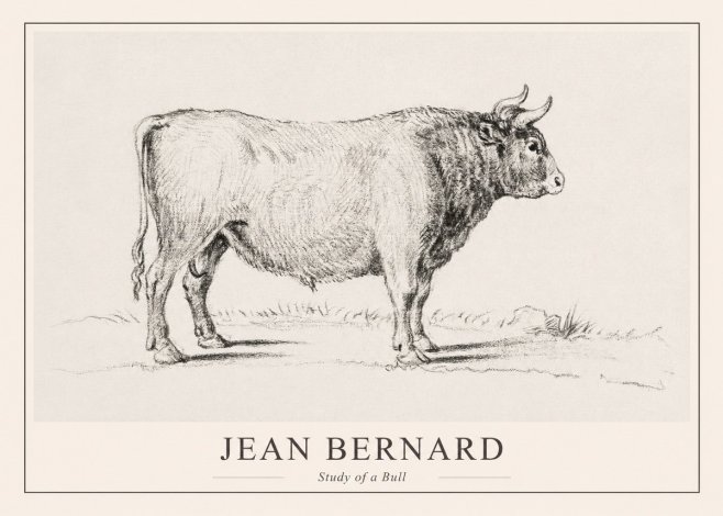 Jean Bernard Study of a Bull I No1 - Juliste