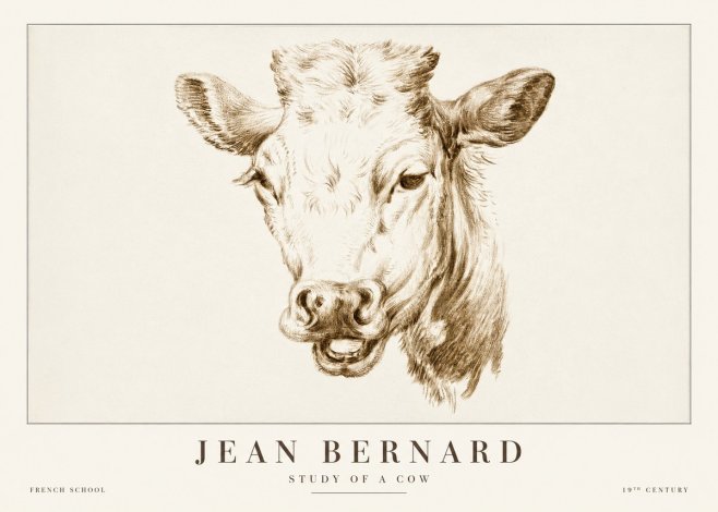 Jean Bernard Study of a Cow IV No2 - Juliste